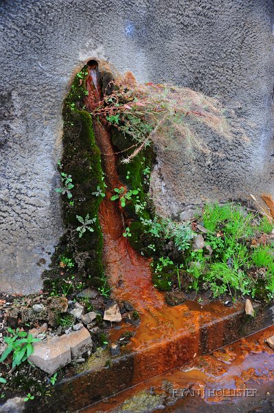 RJH_6169.JPG - One of the drains for the groundwater.