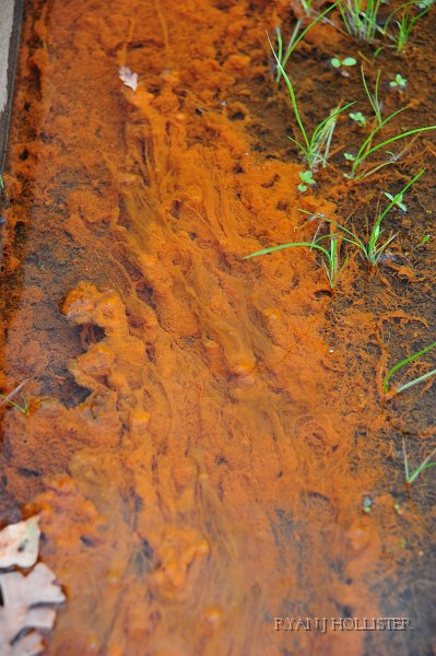 RJH_6171.JPG - Runoff.