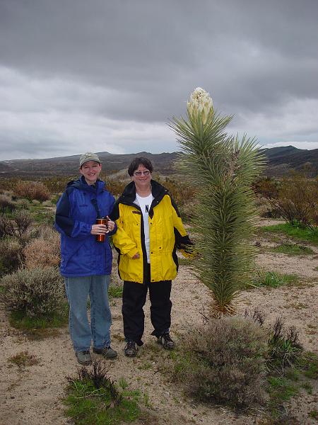 004.jpg - Laura and Sandy stand next to a rare Joshua Tree bloom.