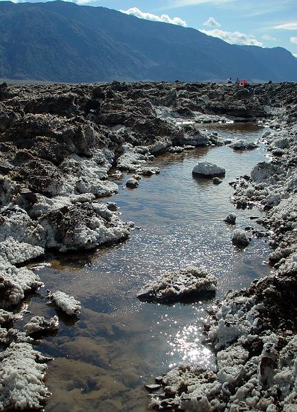 108.jpg - You can see how salty the water is... those are rafts of salt in the water.