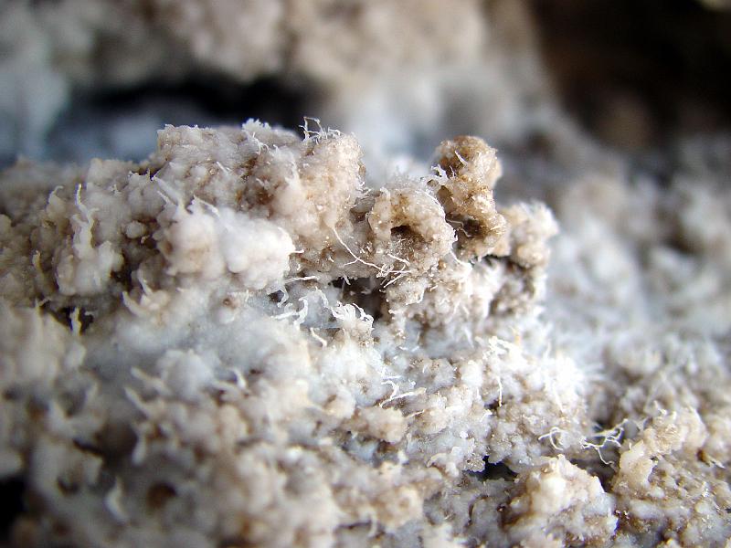 111.jpg - The fine, stringy crystals were like nothing I've ever seen before.