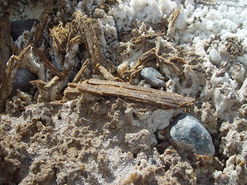 114.jpg - Wood is well preserved in the salt.