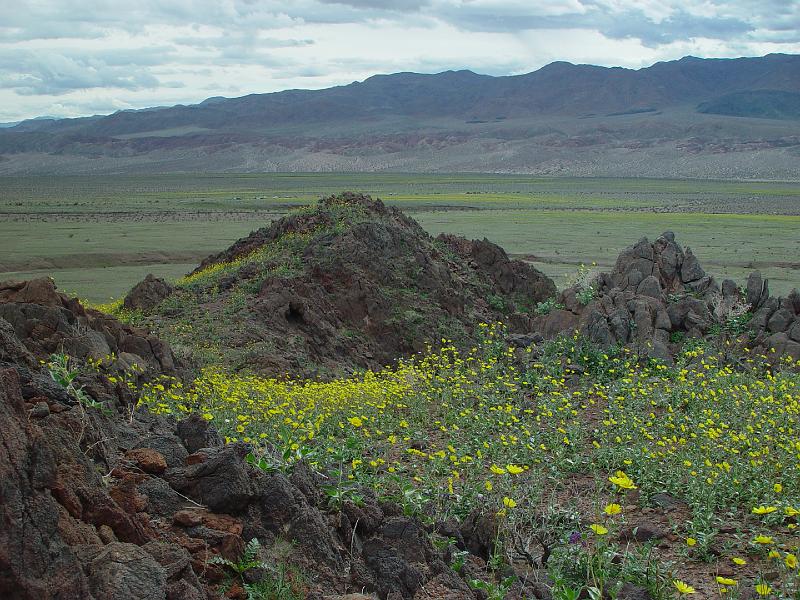 151.jpg - It was hard to appreciate the rocks with all the flowers.