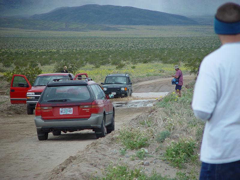 213.jpg - Fording the Amargosa River... this was a once in a lifetime sight.
