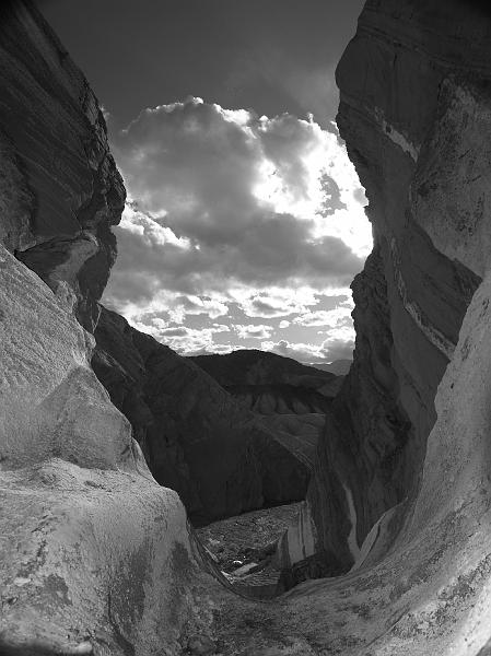 _2180821.JPG - I enjoyed the contrast in this shot.