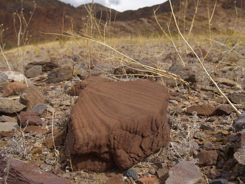 _2190856.JPG - This is a ventifact... a stone abraded by sand in the wind.