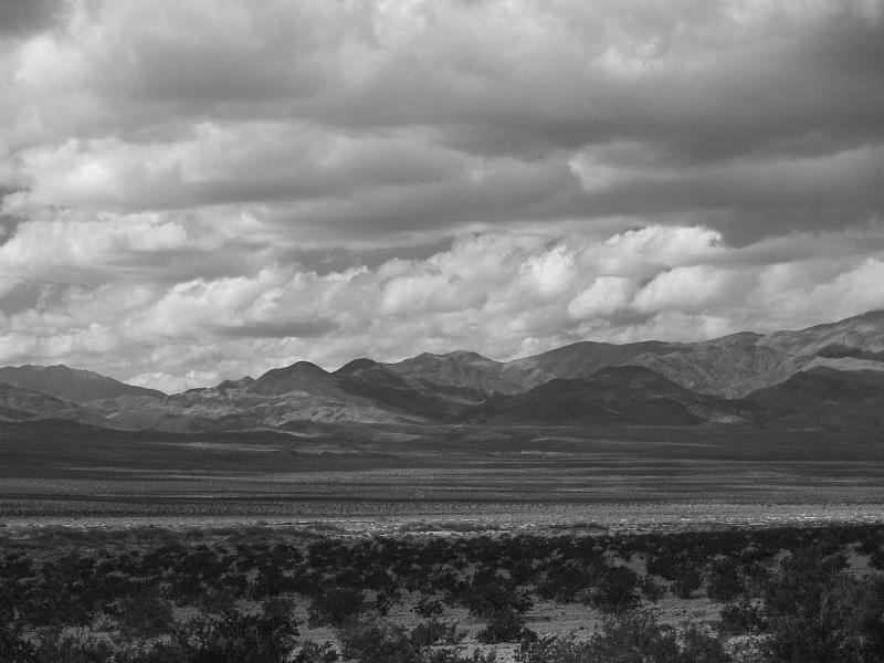 _2190889.JPG