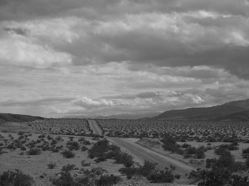 _2190896.JPG