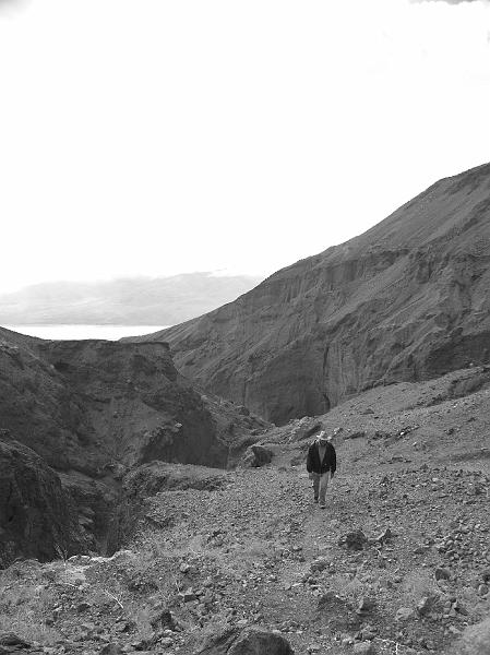 _2190944.JPG