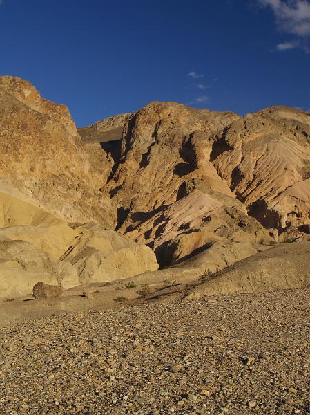 _2190962.JPG