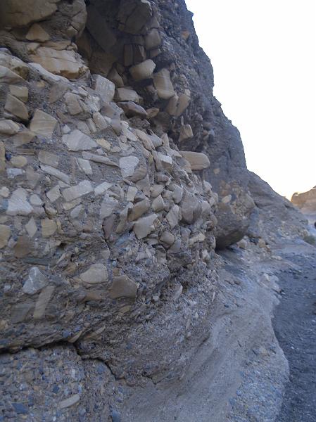 _2201050.JPG - Mosaic anyone?