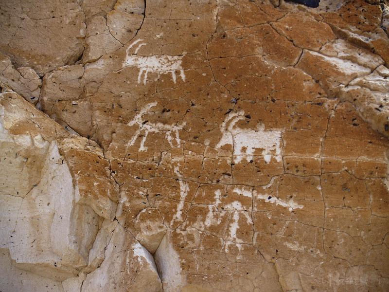 _2201057.JPG - OLYMPUS DIGITAL CAMERA