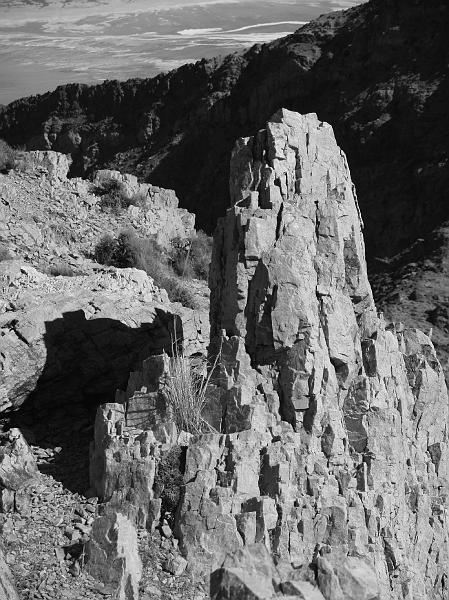 _2201081.JPG