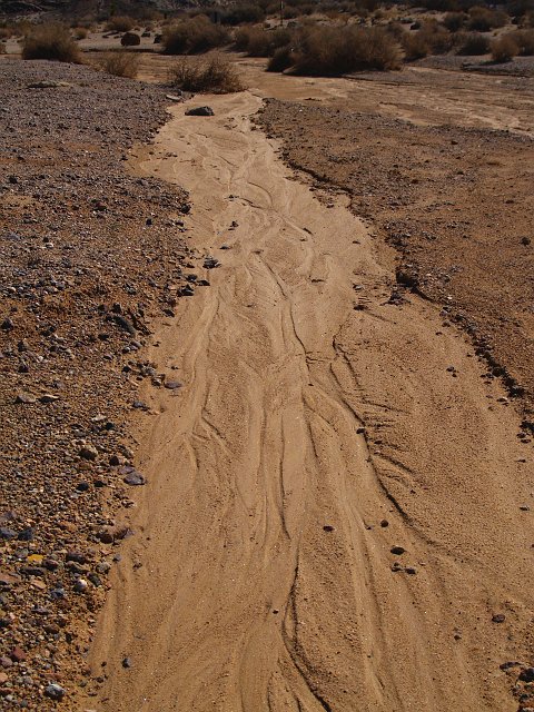 _2150506.JPG - My students will recognize that this looks a lot like the stream tables from class.  Look at the neat braided stream channels.