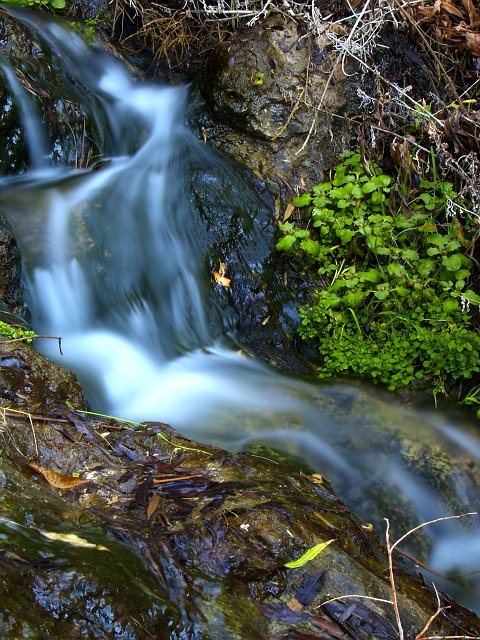 _2150576.JPG - This four-foot drop made for a very scenic photo before I got to the main water fall.