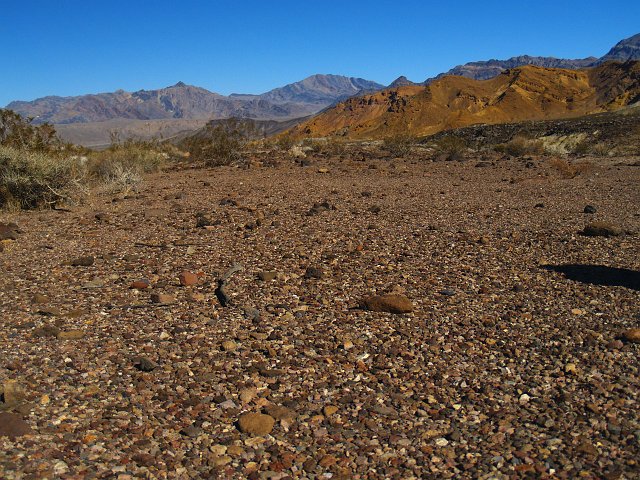 _2160606.JPG - Desert pavement caused by wind deflation.  This is near the mining district of Ryan.