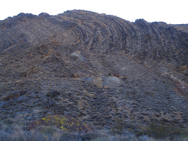 _2160664.JPG - This is Leadfield, an old ghost town that duped some investors into mining lead ore. The town lasted one year, then died.  But check out the sweet folds.