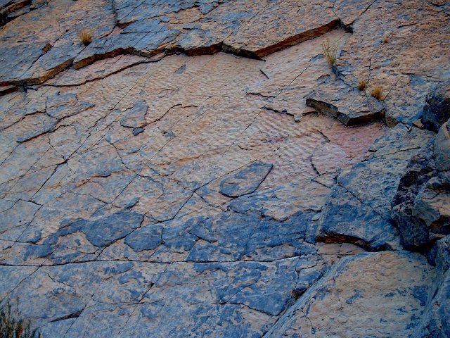 _2160676.JPG - 500+ million year old ripple-marks!  This used to be a beach!