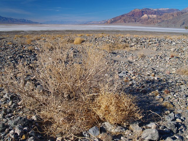_2170755.JPG - Looking up DV near Badwater.