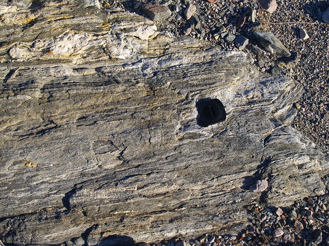 _2170758.JPG - Metamorphics like this gneiss were created 1.8 Billion years ago.  The original rock that eventually became the gneiss probably formed near 2bya.