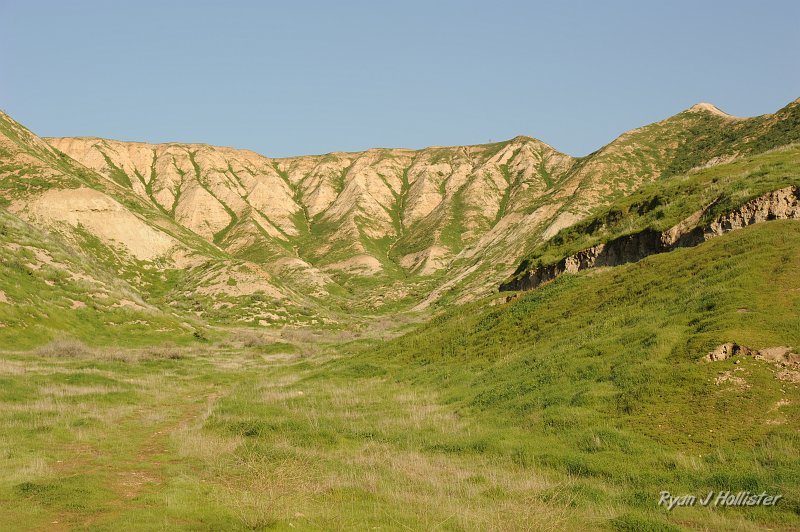 DSC_0018.JPG - The temblor formation (rocks in this picture) was looking uncharacteristically green this year.  These ash, siltstone and mudstones represent the seafloor that once existed here prior to the formation of the California Coast Ranges.