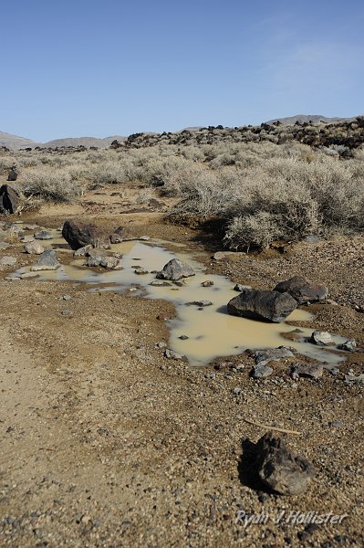 _DSC0046.JPG - Whadda ya know?  The recent rains had left behind some pools of water.