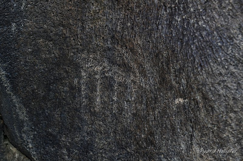 _DSC0056.JPG - And there are the occasional petroglyphs, although they are not well preserved.
