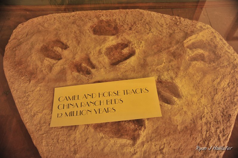 _DSC0092.JPG - The sign says it all.