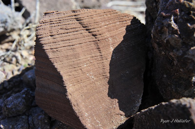 _DSC0102.JPG - A lovely ventifact.