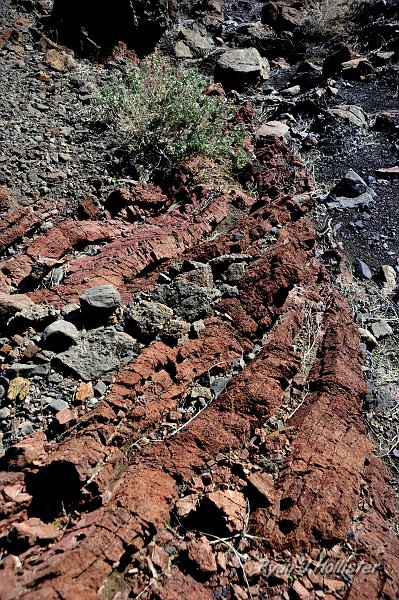 _DSC0109.JPG - A close-up of the folds.