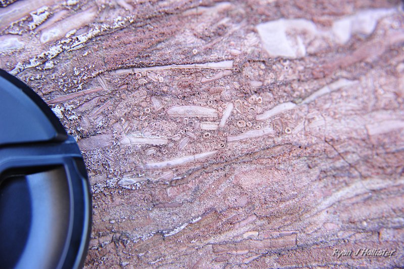 _DSC0122.JPG - Here's another close-up of the pisolites.