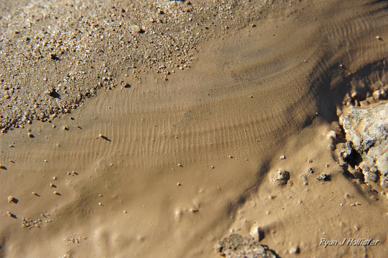 _DSC0133.JPG - These ripples are about 1/8 inch wide.