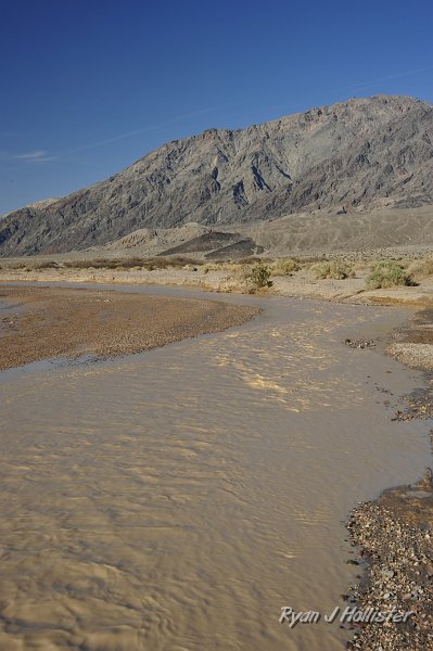 _DSC0136.JPG - I really wish I would have brought my trail boat to float down the river.  Seriously.  How many people can say they've rafted the Amargosa?