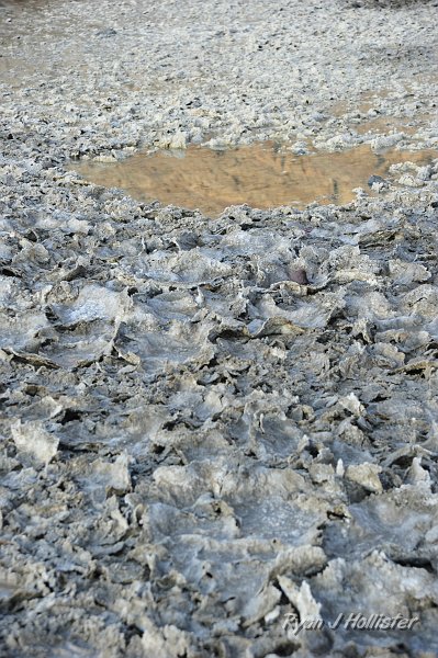 _DSC0177.JPG - Mudcracks & pond at Batwater.