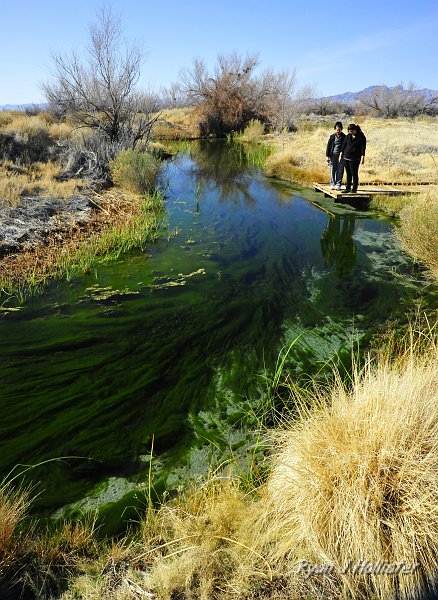 _DSC0201.JPG - The creek was chalk-full of amazing colors.