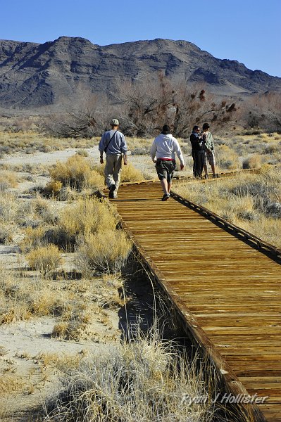 _DSC0206.JPG - Are you getting the idea that the desert climate seems like an odd place for such a creek?