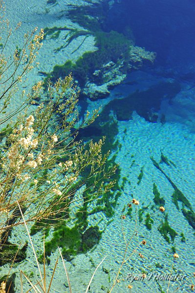 _DSC0214.JPG - The juxtaposition of colors out in the middle of the Nevada desert was awe-inspiring.
