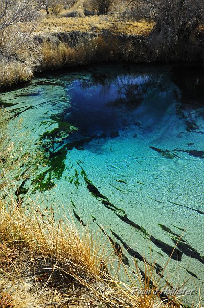 _DSC0216.JPG - I also loved the spiral swirls made by the algae.
