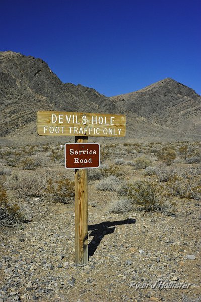 _DSC0224.JPG - Devils Hole.  Home to the most restricted vertebrate environment in the world.