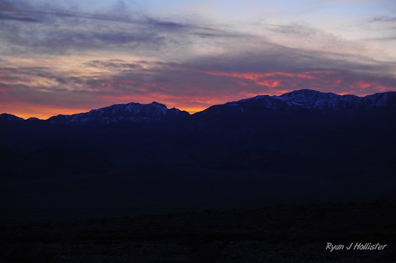 _DSC0321.JPG - And here's a bit more of a close-up