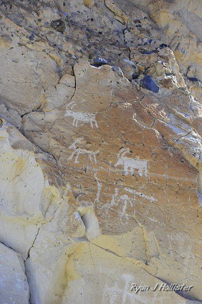 _DSC0377.JPG - Check out the amazing petroglyphs carved into the ash.