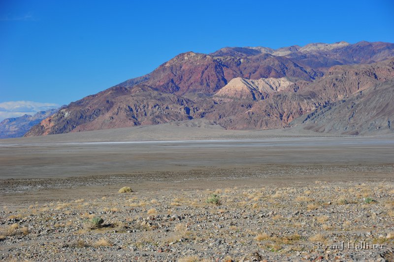 RJH_7948.JPG - No water in the playa this year.