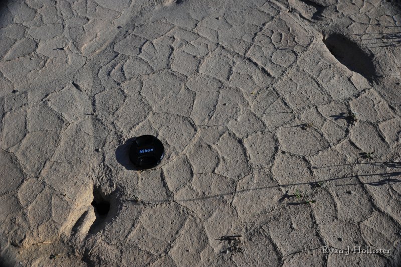 RJH_7955.JPG - Mud cracks near Mormon Point.