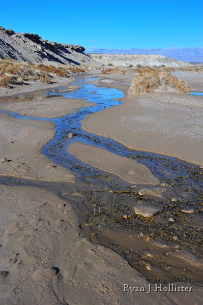 RJH_8007.JPG - Salt Creek.  This is a river that flows below sea-level due to faulting forcing-up an aquifer that contains water four times the salinity of the ocean.