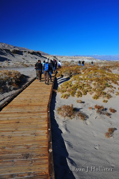 RJH_8009.JPG - The boardwalk along salt creek was constructed to prevent the fragile habitat of a most unexpected inhabitant.