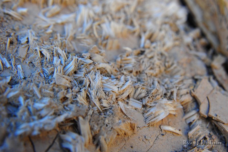 RJH_8070.JPG - Next stop: Zabriskie Point.  Laura and I took a hike down Gower Gulch and first spied some intersting gypsum crystals growing out of the mud.