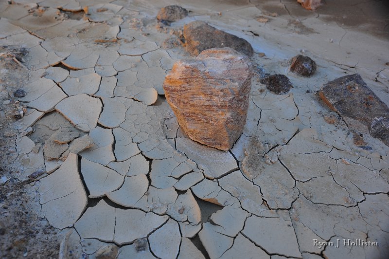 RJH_8073.JPG - Laura and I thought these mud cracks looked kind of neat.