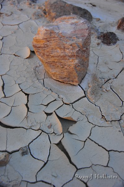 RJH_8077.JPG - The cracks form as the once wet clay shrinks as the water molecules that had cuased its expansion leave via evaporation.