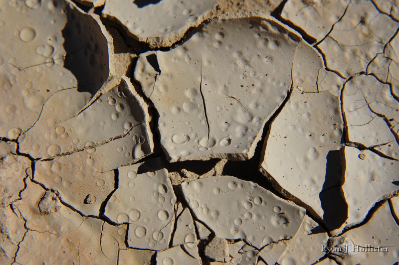 RJH_8088.JPG - Raindrop impressions everywhere!