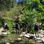 Our minds full of geology and fun, we headed back up the hill.
